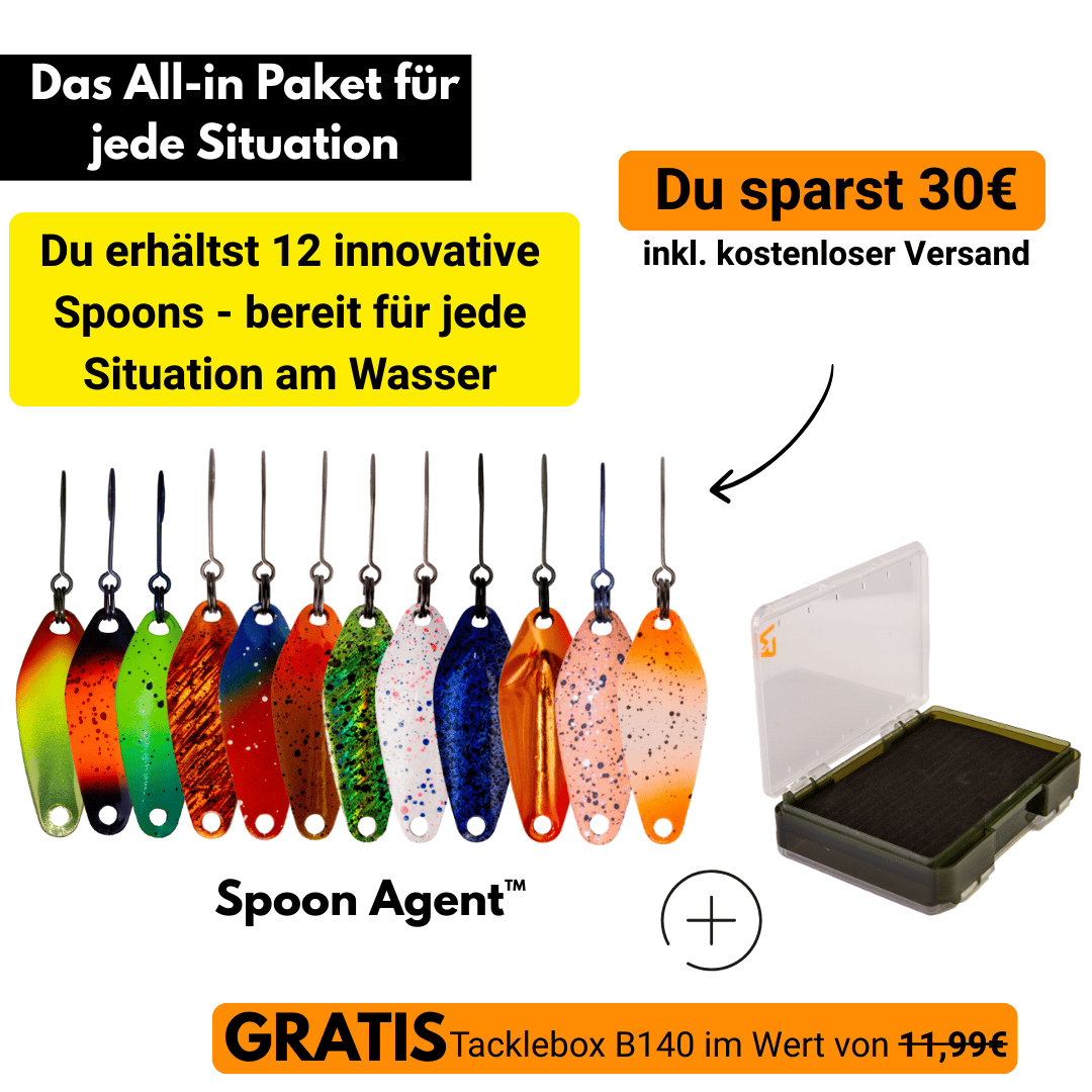 All-in Paket Spoon inkl. GRATIS Tacklebox B140